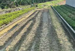 Đất đẹp hiền lương Đào viên Bắc Ninh 2,1tỷ... Bán đất tại Đào Viên, Bắc Ninh 06