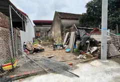 Bán đất 100m² tại Phường Thượng Hồng, Hưng Yên - mặt ngõ thông, ô tô tránh... Bán đất tại Thượng Hồng, Hưng Yên 04