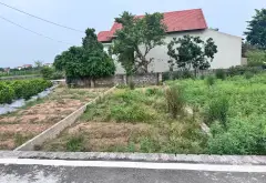 🔥🔥MẢNH ĐẤT - VUÔNG NHƯ TỜ A4 - PHÂN LÔ VỈA HÈ - GIÁ ĐẦU TƯ🔥🔥

💥💥Mô tả:Mảnh đất cực đẹp, vuông... Bán đất tại Triệu Việt Vương, Hưng Yên 02