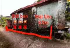 Bán đất 84m² tại thôn Giao Tất A, Dương Đức Hiền... Bán đất tại Thuận An, Hà Nội 06
