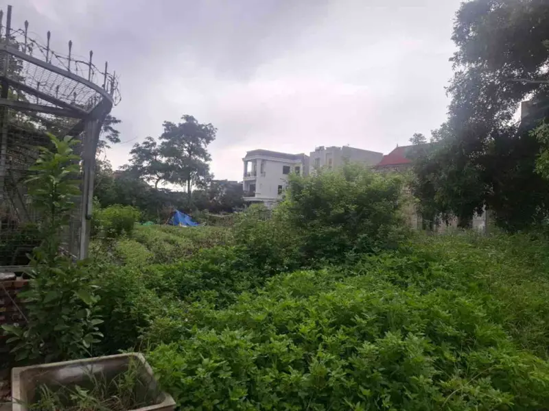 Sở Hữu Ngay Lô Đất Vàng Quân Khu 3, Đường Ô Tô Tránh Thoải Mái... Bán đất tại Đông Hải, Hải Phòng 01