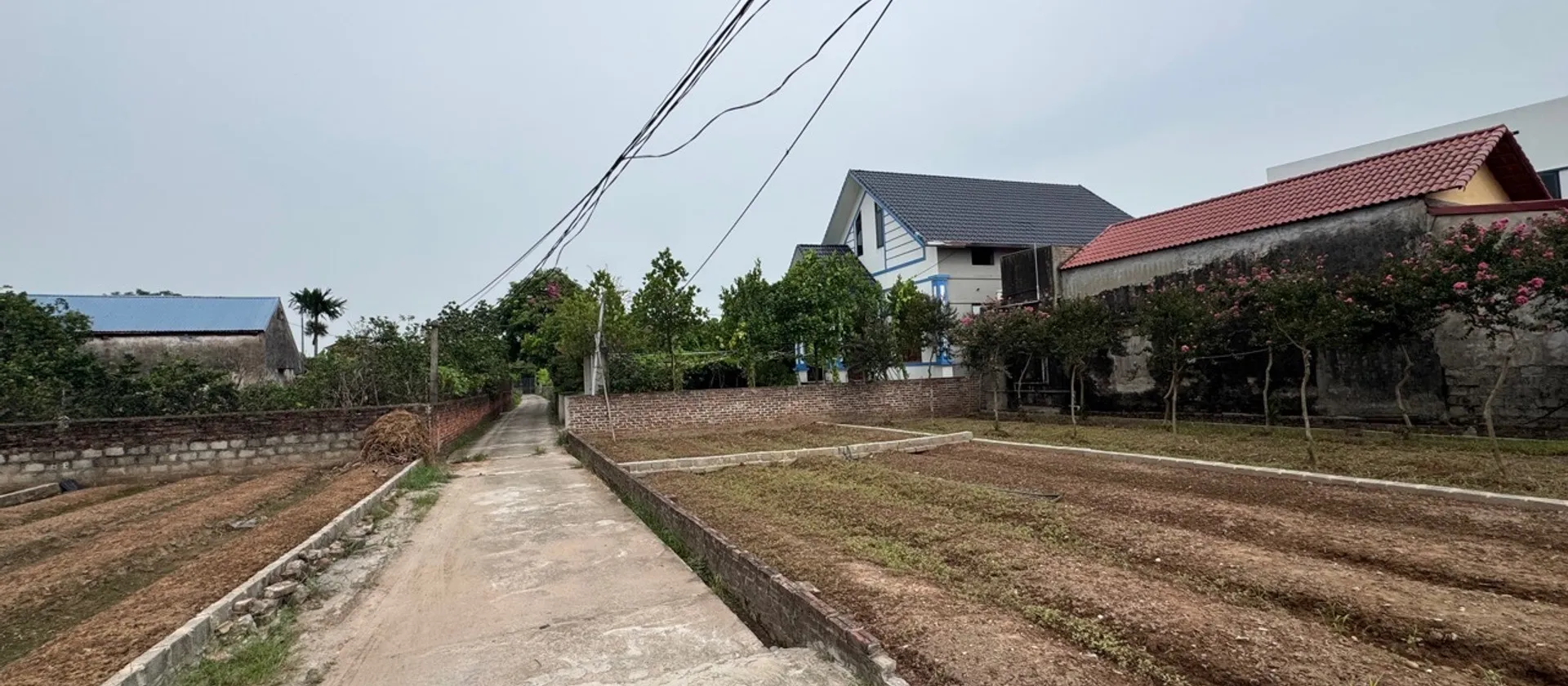 🌹🌹QUANH 2 ĐỒNG- LÔ GÓC 2 MẶT TIỀN RỘNG- TRỤC CHÍNH - ĐƯỜNG THÔNG 2 Ô TÔ TẢI🚘 TRÁNH NHAU🌹🌹... Bán đất tại Hoàn Long, Hưng Yên 01