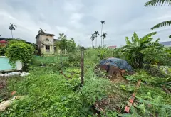 Cơ Hội Sở Hữu Lô Đất Vàng Gần Ngã Tư Chợ Gà Gáy... Bán đất tại Tân Minh, Hải Phòng 09