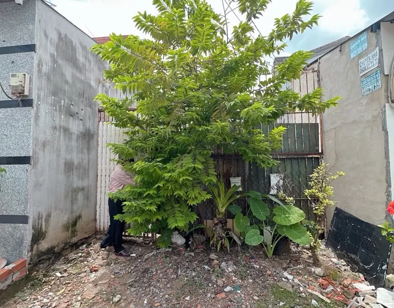 Đất trống 112.6m² ngay trường THPT Bình Hưng Hòa, phường Bình Hưng Hòa, Bình Tân, chỉ 3 tỷ... Bán owner_side tại Bình Hưng Hòa, Hồ Chí Minh 01