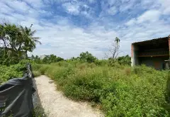 Mảnh đất nở hậu đỉnh của chóp tại Dương Kinh... Bán đất tại Dương Kinh, Hải Phòng 05