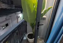 Nhà 2 Tầng Xinh Xắn Gần Phạm Văn Bạch, Tân Bình... Bán nhà riêng tại Tân Sơn, Hồ Chí Minh 05