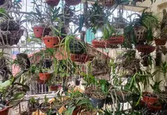 Bán nhà Đại Từ, 5 tầng lô góc, diện tích 30m², giá 8,4 tỷ... Bán nhà riêng tại Định Công, Hà Nội 07