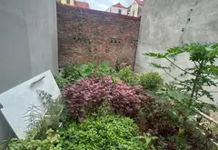 Đất đẹp Đông Anh, nơi an cư lý tưởng... Bán đất tại Thiên Lộc, Hà Nội 05