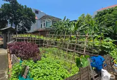 Lô góc mặt tiền rộng, vị trí đắc địa giá tốt cần bán gấp... Bán đất tại An Khánh, Hà Nội 01
