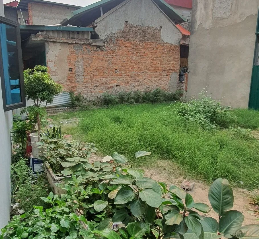 Bán đất vuông lô góc diện tích 55m2 tại xã Phúc Thịnh, giá sập 3.8 tỷ... Bán đất tại Phúc Thịnh, Hà Nội 01