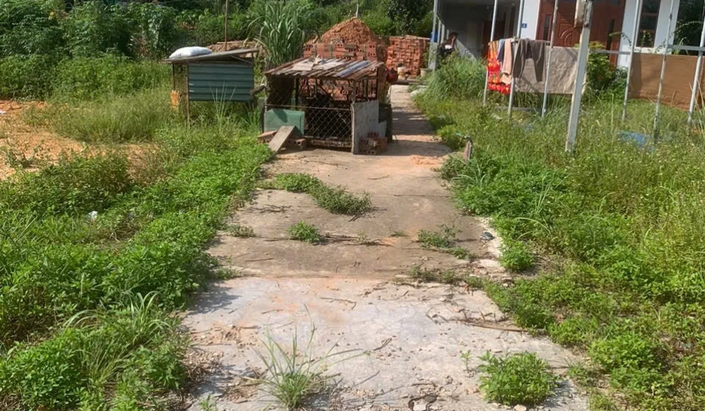 Đất đẹp 100m² vị trí vàng tại Việt Hưng, giá tốt... Bán đất tại Việt Hưng, Quảng Ninh 01