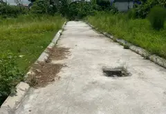Bán đất phân lô ô tô đỗ cửa trung tâm xã Gia Minh Bạch Đằng... Bán đất tại Bạch Đằng, Hải Phòng 06