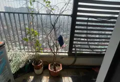 Bán căn hộ 2 phòng ngủ 81m2 tầng cao tại phường Ô Chợ Dừa Hà Nội... Bán căn hộ chung cư tại Ô Chợ Dừa, Hà Nội 09