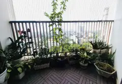 CHƯNG CƯ TECCO SKY Ở NGAY , CÁCH BẾN XE NƯỚC NGẦM CHỈ VÀI PHÚT DI CHUYỂN... Bán căn hộ chung cư tại Thanh Trì, Hà Nội 05