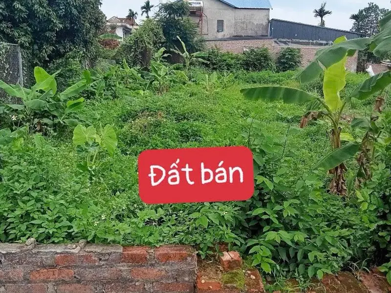 Đất đẹp rộng rãi, vị trí đắc địa, tuyệt vời cho cả an cư và đầu tư... Bán đất tại Kim Anh, Hà Nội 01