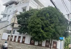 Đất Vàng Nguyễn Văn Tạo – Kết Nối Tương Lai... Bán đất tại Hiệp Phước, Hồ Chí Minh 03