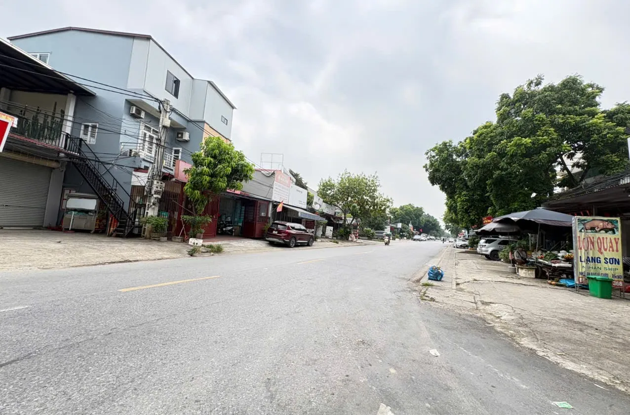 🌺DỰ ÁN TRƯỜNG ĐUA NGỰA SUNGROUP, CỤM KCN TÂN MINH, KĐT VỆ TINH SÓC SƠN - ĐƯỜNG OTO VÀO ĐẤT... Bán đất tại Sóc Sơn, Hà Nội 01