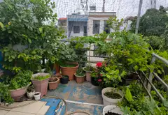 Bán nhà riêng 3 tầng 4 phòng ngủ rộng 55m2 tại Linh Xuân, Thủ Đức... Bán nhà riêng tại Linh Xuân, Hồ Chí Minh 15