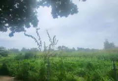 Bán đất mặt tiền Nguyễn Bình, xã Nhơn Đức, Nhà Bè, diện tích lớn 181.3 m2, pháp lý cơ sở... Bán đất tại Hiệp Phước, Hồ Chí Minh 04