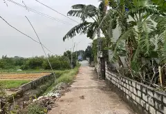 HÀNG HIẾM MỄ SỞ – NGÕ Ô TÔ – KHU DÂN CƯ GIÀU CÓ... Bán đất tại Mễ Sở, Hưng Yên 02