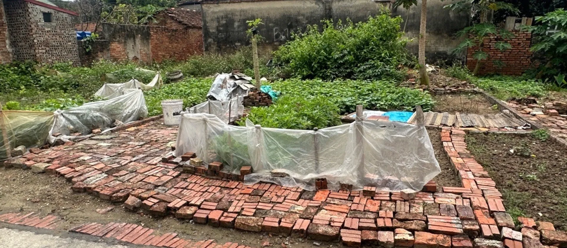 Bán đất nền phân lô tại phường Thượng Hồng, Hưng Yên, mặt tiền rộng ô tô vào được... Bán đất tại Thượng Hồng, Hưng Yên 01
