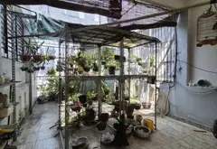 Cơ hội hiếm có sở hữu nhà 5 tầng rộng rãi tại Huỳnh Tấn Phát giá tốt... Bán nhà riêng tại Tân Thuận, Hồ Chí Minh 17