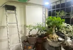 Nhà phố quận 3, hẻm xe tải, gần sân tennis sầm uất... Bán nhà riêng tại Nhiêu Lộc, Hồ Chí Minh 08
