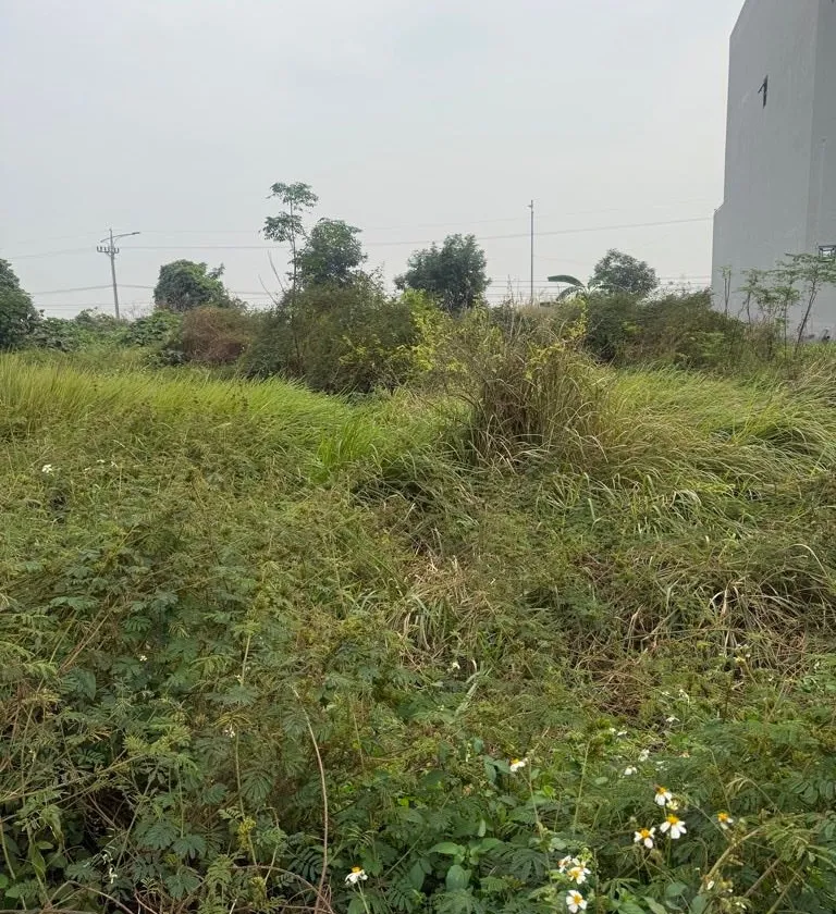 Cơ hội sở hữu đất vàng khu đấu giá phố Kênh, Bắc Ninh... Bán đất tại Ninh Xá, Bắc Ninh 01