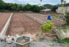 Bán đất thôn An Cảnh xã Triệu Việt Vương Khoái Châu, diện tích 124.6 m²,... Bán đất tại Triệu Việt Vương, Hưng Yên 01