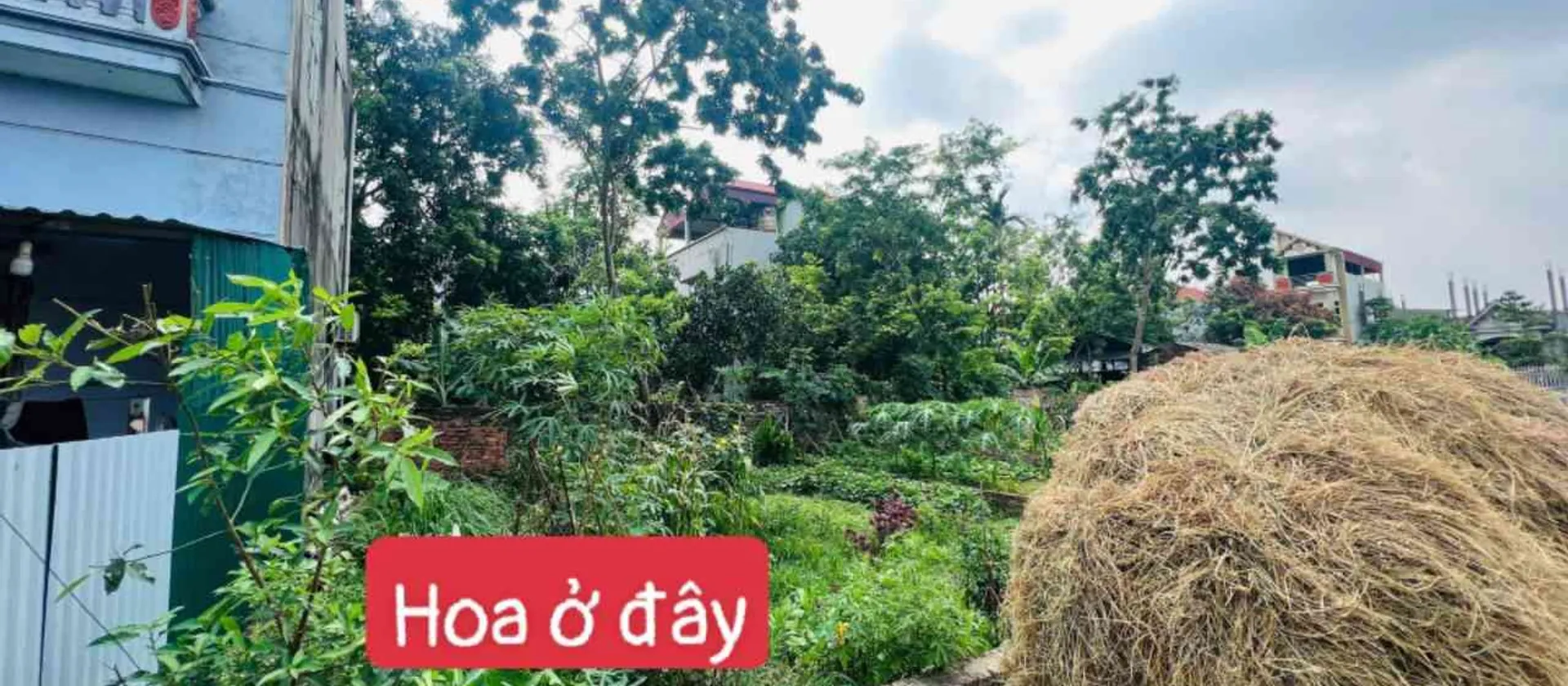 Bán đất 83m2 phường Bắc Phú, Sóc Sơn - Giá giảm 100 triệu, chỉ còn 1.760 tỷ VNĐ... Bán đất tại Đa Phúc, Hà Nội 01