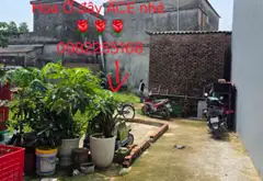 Đất Vàng Tại Phúc Tinh - Tam Sơn Cũ, Từ Sơn... Bán đất tại Tam Sơn, Bắc Ninh 07