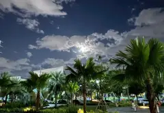 Căn hộ EcoGreen 2PN lô góc, ban công thoáng mát quận 7... Bán căn hộ chung cư tại Tân Thuận, Hồ Chí Minh 12