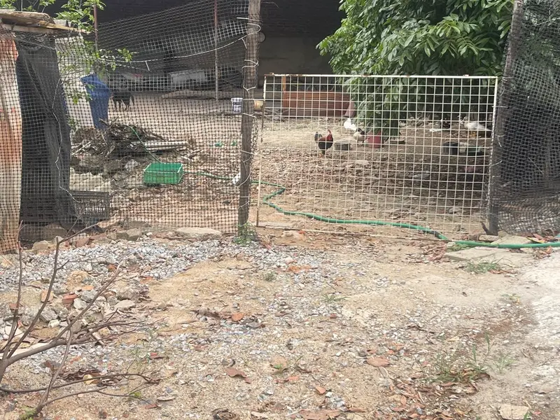 Bán Lô Đất Vườn Siêu Đẹp Tại Sóc Sơn - Cơ Hội Vàng!... Bán đất tại Sóc Sơn, Hà Nội 01