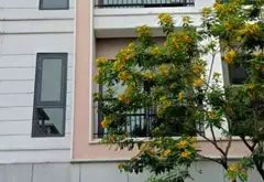 A Đây rồi!
Nhà 4,5 tầng thông thoáng chỉ vài bước ra công viên nội khu,gần đường Quốc lộ 5... Bán Shophouse tại Nguyễn Văn Linh, Hưng Yên 06