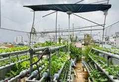 Bán nhà mặt phố Bình Tân diện tích 92m² giá 11.6 tỷ pháp lý rõ ràng... Bán nhà mặt phố tại Bình Trị Đông, Hồ Chí Minh 05
