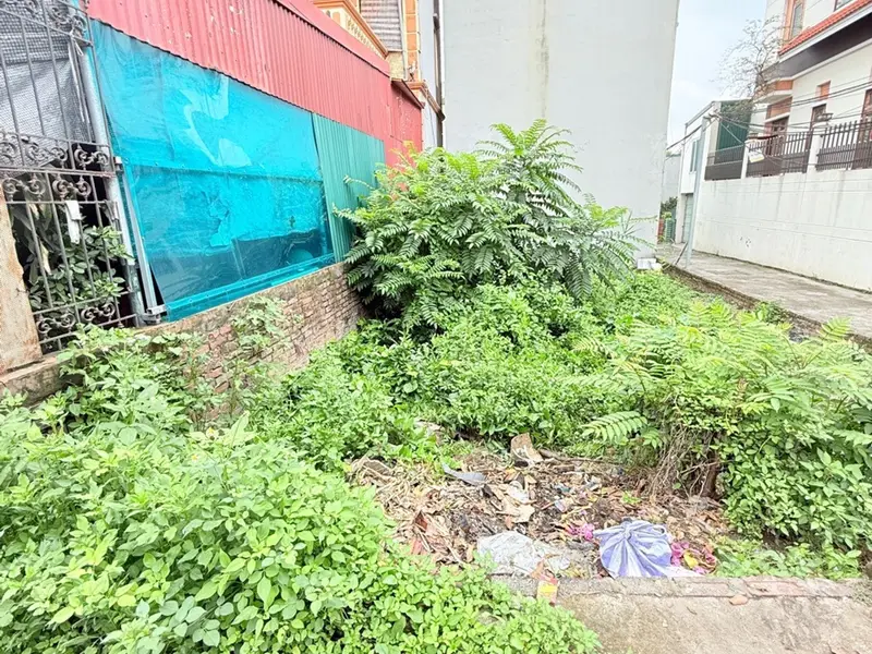 Cơ hội sinh lời hiếm có tại Đông Dư - Bát Tràng, đất đẹp mặt đường ô tô tránh... Bán đất tại Bát Tràng, Hà Nội 01