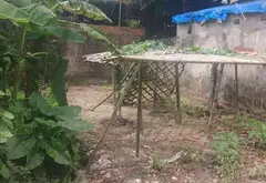 Cơ Hội Vàng Sở Hữu Đất Đẹp Tại Xã Thượng Phúc Hà Nội... Bán đất tại Thượng Phúc, Hà Nội 01