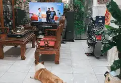 Bán nhà mặt phố 3 tầng, 4 phòng ngủ tại quận Tây Hồ... Bán nhà mặt phố tại Tân Bình, Hồ Chí Minh 04