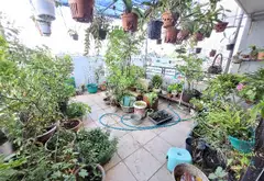 Mặt tiền Lê Thúc Hoạch Tân Phú, 6 tầng BTCT, gỗ trắc quý hiếm, giá nhỉnh 12 tỷ... Bán nhà mặt phố tại Phú Thọ Hòa, Hồ Chí Minh 15