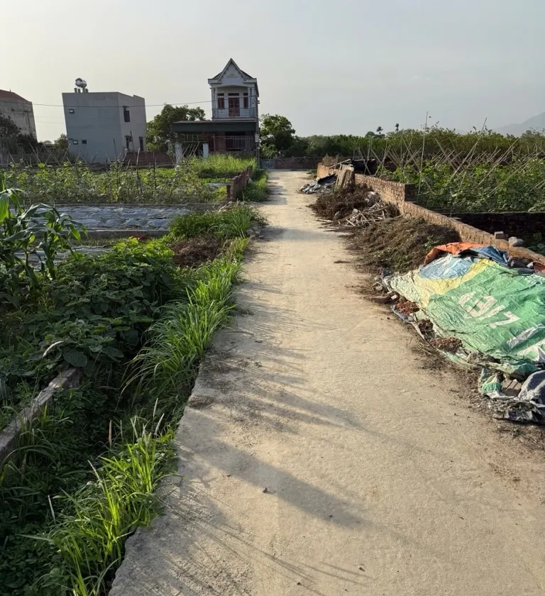 Cơ hội vàng sở hữu lô đất 100m2 tại xã Sóc Sơn - Quang Tiến... Bán owner_side tại Sóc Sơn, Hà Nội 01