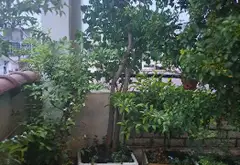 Nhà mặt phố Tân Bình, giá sốc giảm 4.5 tỷ ngay hôm nay... Bán nhà mặt phố tại Tân Sơn Nhất, Hồ Chí Minh 15
