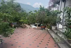 BIỆT THỰ NHÀ VƯỜN - TRUNG GIÃ SÓC SƠN - MÔI TRƯỜNG SỐNG LÝ TƯỞNG NGHỈ DƯỠNG - GIÁ TỐT... Bán nhà riêng tại Trung Giã, Hà Nội 02