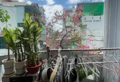 Bán nhà riêng 3 tầng, 4 phòng ngủ tại Thống Nhất, giá 4,25 tỷ... Bán nhà riêng tại Thông Tây Hội, Hồ Chí Minh 05