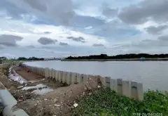 Bán đất xây biệt thự view sông Vàm Thuật, An Phú Đông, 983m2, giá chỉ 35 tỷ... Bán đất tại An Phú Đông, Hồ Chí Minh 07