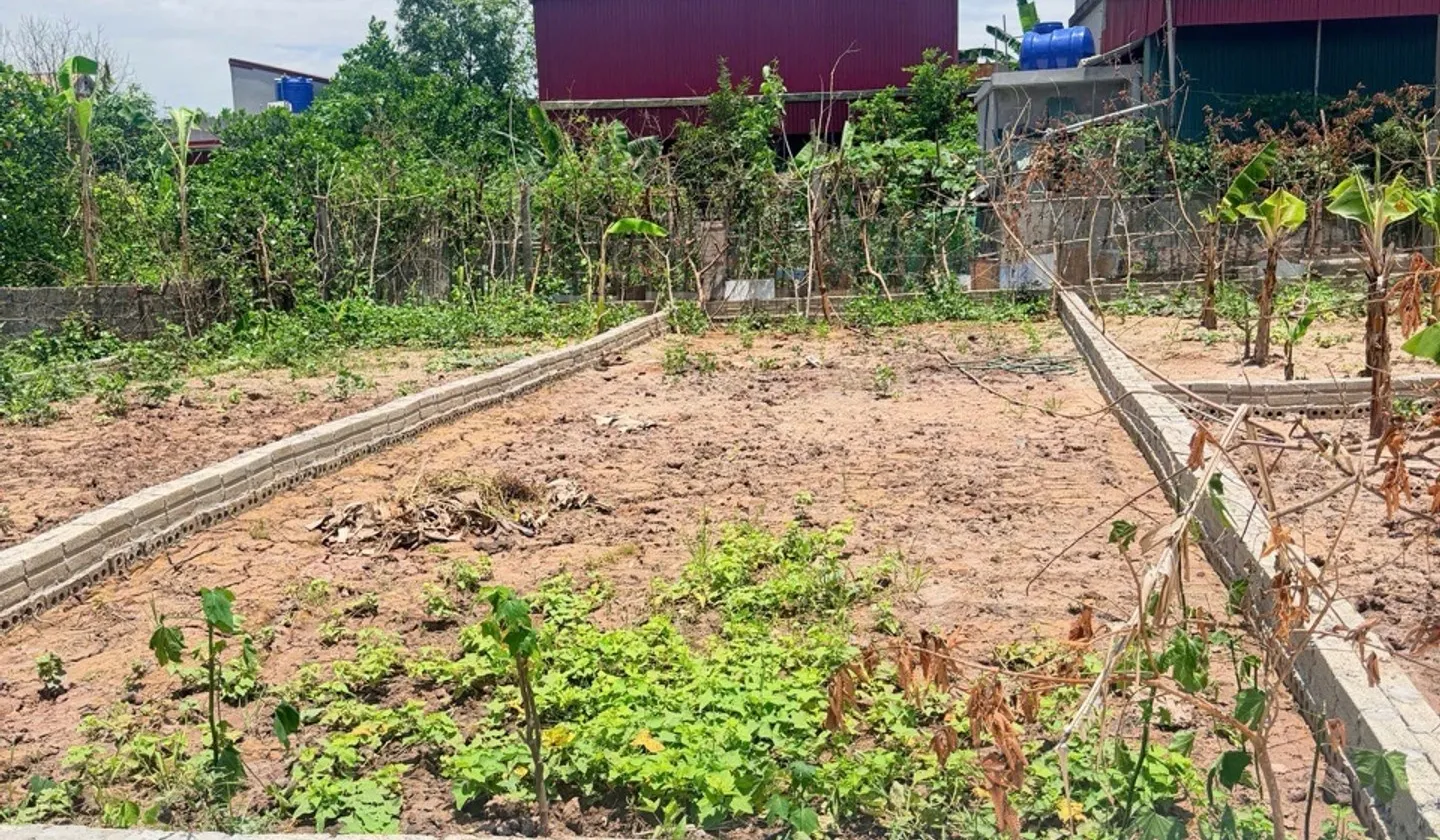 Bán đất 80m2 tại trung tâm Thường Tín, khu dân cư sầm uất... Bán đất tại Chương Dương, Hà Nội 01