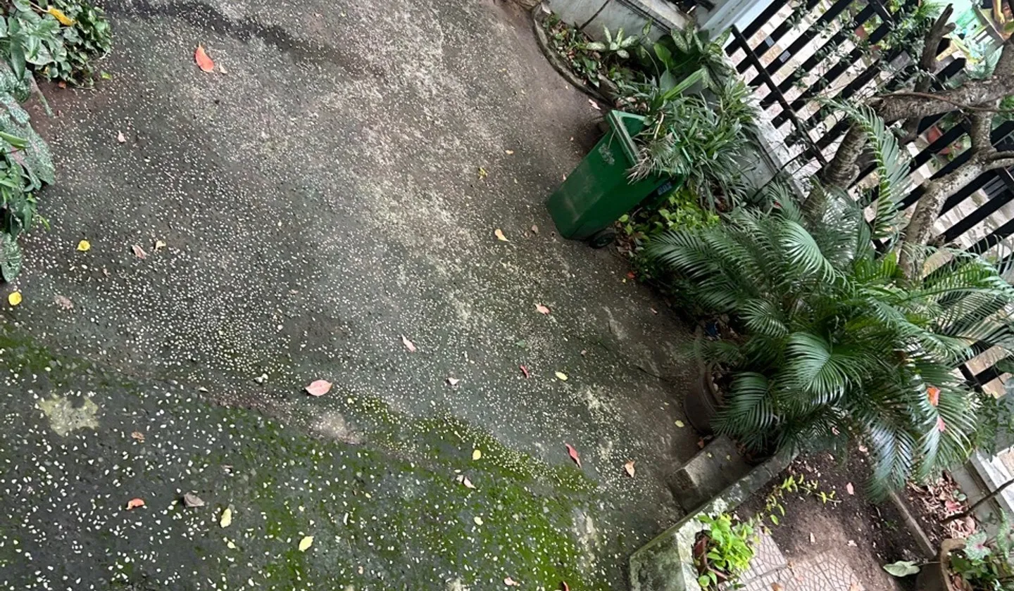 Biệt thự xanh mát giữa lòng Thảo Điền... Bán nhà mặt phố tại An Khánh, Hồ Chí Minh 01