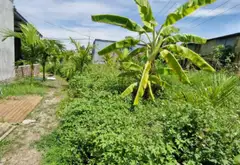 Cơ hội hiếm có sở hữu lô đất vị trí đắc địa gần trục đường liên xã... Bán đất tại Lưu Kiếm, Hải Phòng 02
