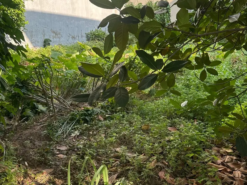 Lô Đất Trung Tâm Phường Hồng An Tiềm Năng Đầu Tư Tại Trung Cư A1... Bán đất tại Hồng An, Hải Phòng 01