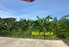 Bán đất thôn Tiên Dược, Sóc Sơn, Hà Nội, mặt tiền 7.3m, giá 2,5 tỷ... Bán đất tại Sóc Sơn, Hà Nội 06