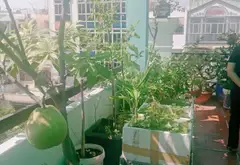 Nhà mặt phố Bình Tân giá hời, cho thuê ổn định... Bán nhà mặt phố tại An Lạc, Hồ Chí Minh 12